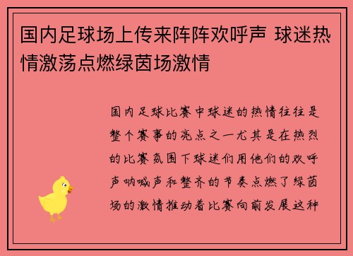 国内足球场上传来阵阵欢呼声 球迷热情激荡点燃绿茵场激情